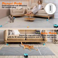 Engaging Cat Exercise Toy